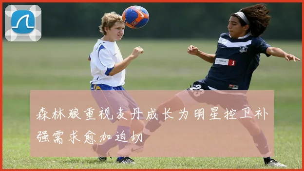森林狼重视麦丹成长为明星控卫补强需求愈加迫切
